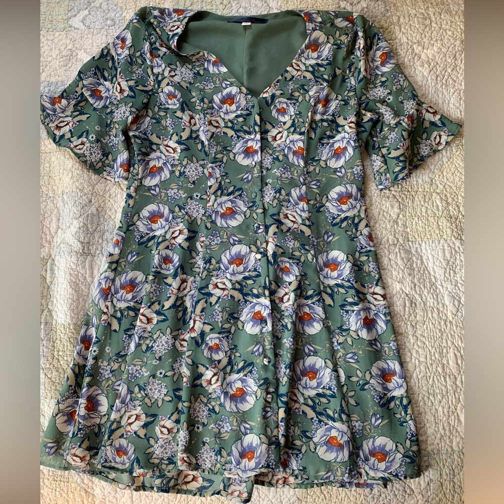 Blue Rain Sage Green Floral A-Line Dress